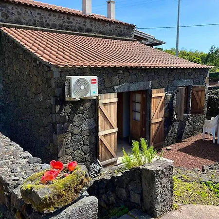 2 Bedrooms With Terrace And Wifi At Prainha *