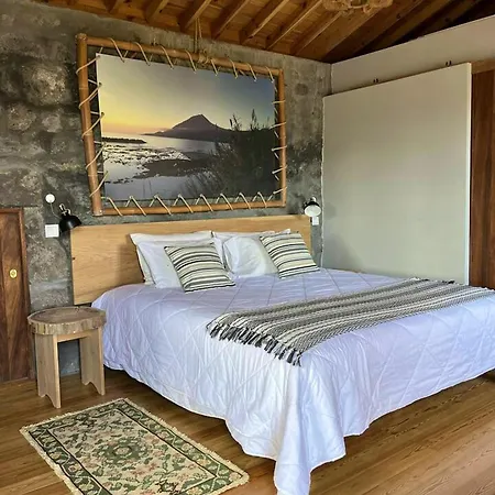 Villa 2 Bedrooms With Terrace And Wifi At Prainha *